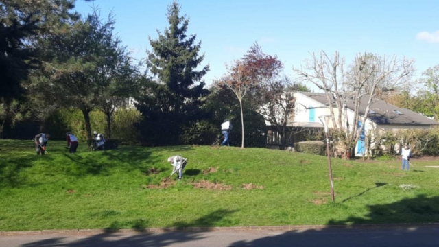 d5da0b0c-a7d5-4e7b-b0ea-d3b40f363782