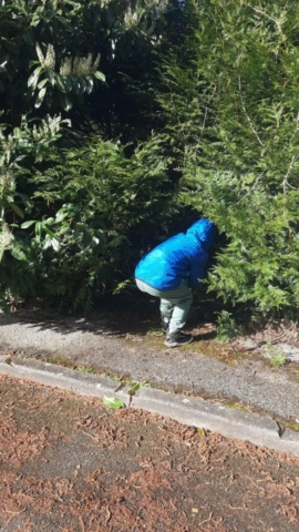 e147d08c-2f6b-40a3-a80c-6baec4bb5877