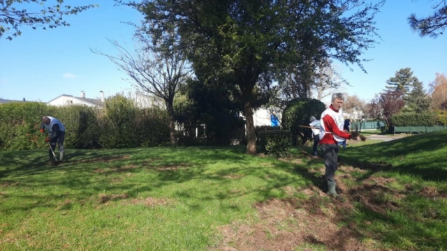 e8745e1e-0049-4992-91d8-872088910a0d