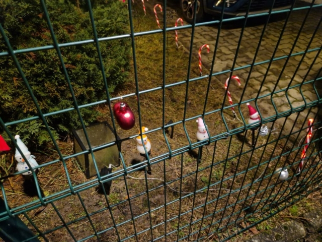 13861b0b-a433-4f95-ac96-b1c11990baad