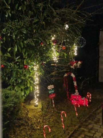 37ef6359-0539-4c97-8ffa-f9b1810122d8