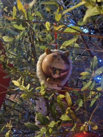 64d0f1fa-f59e-49ef-b20b-db328ea2d1f2