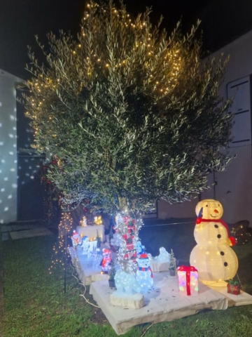 66d70622-29b7-4136-9ab4-b165d3088508