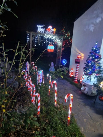 746b8a76-9938-492c-baf6-cfbd2161852e