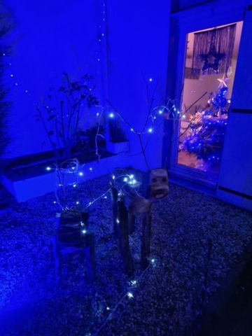 9a5744a1-dd84-44b0-9af0-b36cf57ef860