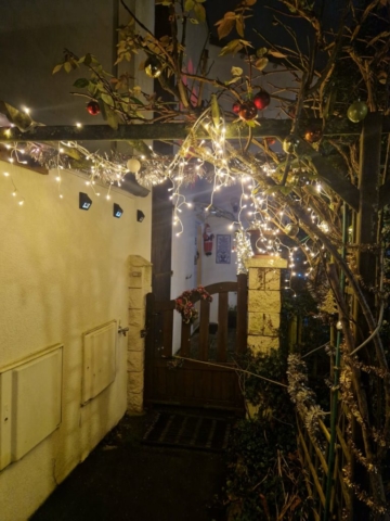 9f163e21-6cac-425b-9721-36387ca47a75