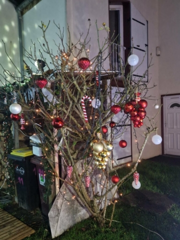 a89dad95-895d-40ec-a719-c88d04f3c9c0