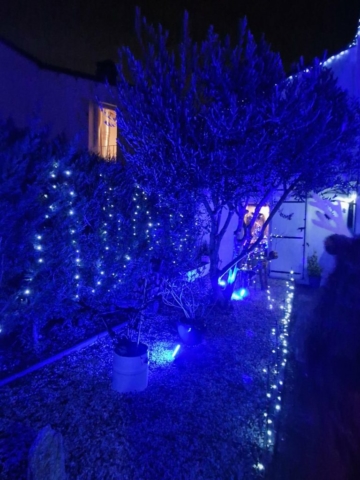 ccd2ed2d-909f-415d-8979-be39c5a591a1