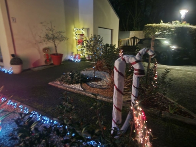 d682f09d-87ac-49d6-816d-0ecd1a793608