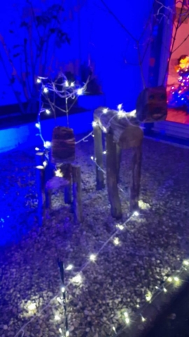 dbbbba62-885f-4abf-8866-1aa40a9b742d