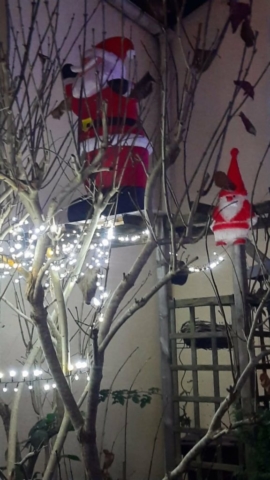 fe827624-aaa3-4299-8667-f6cc4389b4a7