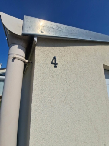 4 elephant (2)